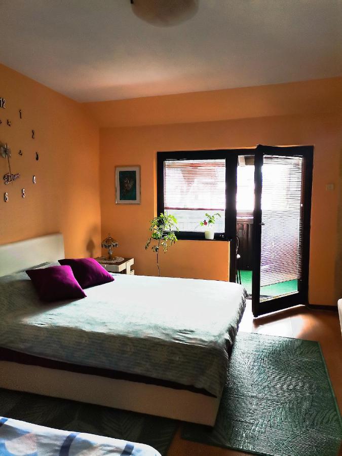Apartment Andjela Zlatibor Exterior photo